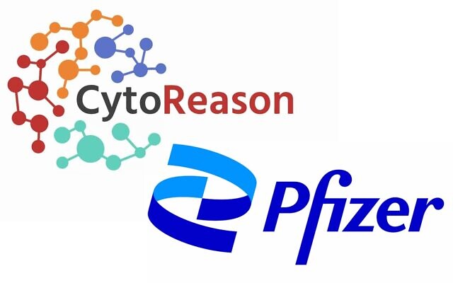 logotipoi do laboratório pfizer