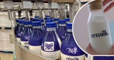 Leite Produzido em Laboratório Chega às Prateleiras e Cafés de Israel